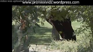 Stora tuttar studsar under intensiv sportknull!