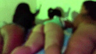 Pablo Colombian Real Deal Vol 9