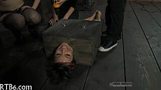 hey, wanna see me dominate in femdom sadomasochism play?