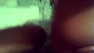 चार पैरों पर हो जाओ जैसे पेरीटा