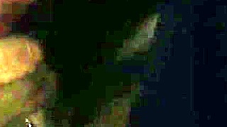 secret infidelity blowjob ends with cumshot 😈