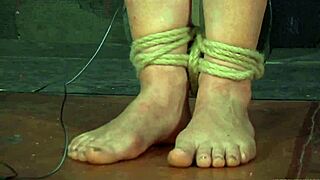 Free sadomasochism erotica stories unfold in narrative