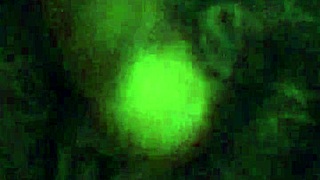 Szőrös puncit csiklandoznak vibrátorral és játékokkal intenzív játékhoz