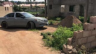 Looking for an affordable partner