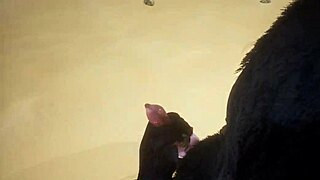 Pov Two Gay Wolves Fucking Wildlife