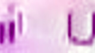 primal hearts route2 scene1 with those subtitles