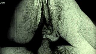 I’m obsessed with vintage erotica from Dark Lantern’s secret diaries of an English gentleman