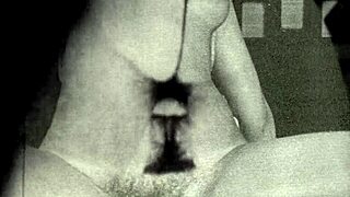 I’m obsessed with vintage erotica from Dark Lantern’s secret diaries of an English gentleman