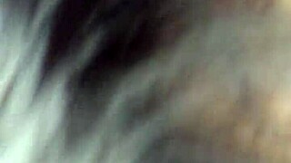 Lisa Gus Sucks Black Cock Hard