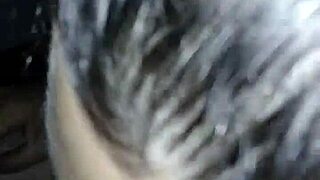 racist toni appears on bbc to discuss her racist views on society and relationships including wife and cheating