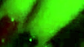 Trim Video of British European Scene