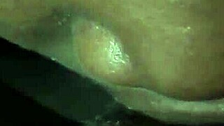 Ebony lesbian bae licks and eats black pussy in raw cunilingus