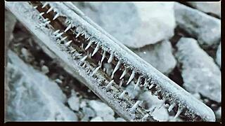 subtle vibes of oklahoma farm sex in this music video