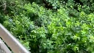 Novinho Lures Stroking Negao Home