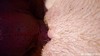 She bent over for doggystyle fucking, her narrow ass getting intense assplay while amateurs watched.