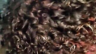 Just chilling with this fat Latin cock video, man