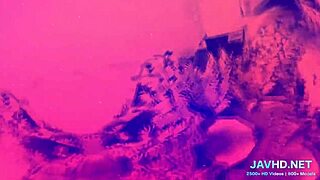 I fuck a japanese chick in stockings, focusing on her legs and pantyhose.