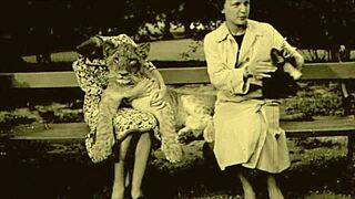 vintage erotic illustration unfolds a sensual hidden story