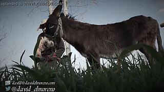 Don Quixote in Spanish European Version