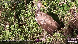 petite college girl strips naked in public park 😍