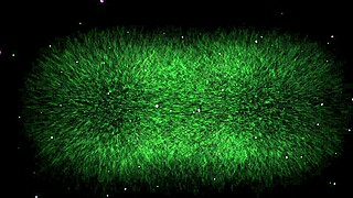 el chico se queda con ganas de follarse a iraya