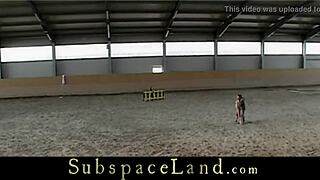 These captive slaves get humiliated with rough bondage fucking at the BDSM stable, no mercy