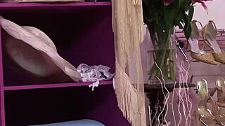 hey, check this 3-way action with sharon pink and jannet in ffm threesome! 😘