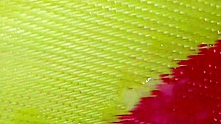 Indian housewife's village sex adventures