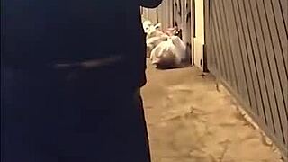 Yo, this hot Latina Melina Bloom flashes big tits and masturbates publicly on Instagram live!