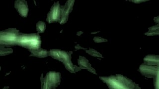 my secret life vintage silent films