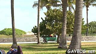 Scenes from a gay bear porn movie unfold