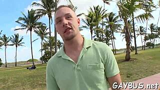 Scenes from a gay bear porn movie unfold