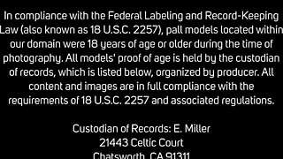 Busty Babe Ally Ann Bent Over in Doggystyle and Missionary for Wet Snatch Orgasms