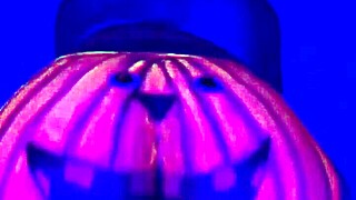 Happy Halloween Couple Celebration with Big Ass Fun