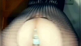 Mzheavybottom compilation pawg huge ass face sitting