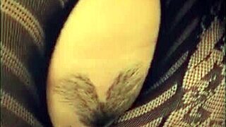 Your favorite dinner is ready for tasting now!