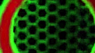 blonde vicky vette gives bj and gets cumshot on big tits