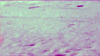 loan laure stars in casual pornstar scenes on xvideos