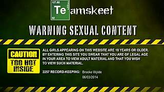 Pretty Brooke Wylde Bares Natural Tits for Rough Fucking and Blowjob