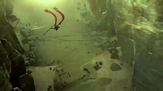 The avatar king episode 12 features anime hentai adventures