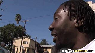 big black cock fucks lizzie tucker in cuckold session