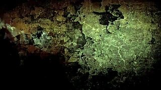 hey, check these vintage erotic drawings out.