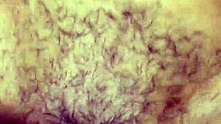 Husband fucks wife with big black cock