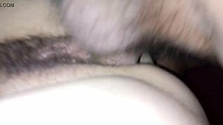 my wife sits deliciously on the couch