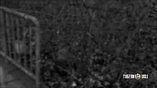 Hardcore Brutal Pegging by Lou Nesbit and Lia Louise, Who's in Control?