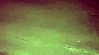 Fingering and Squirting Cum During Masturbation