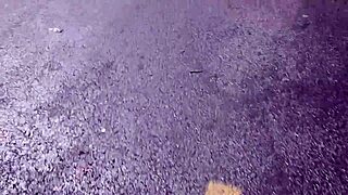 Lucy Tyler, Tell Me How You Handle That Hardcore POV?