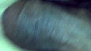 Sweet Petite Transsexuals Fuck Asses