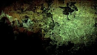 vintage erotic sketches hint at hidden naughty desires