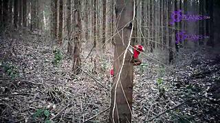 Little Red Riding Hood Tatiana Morales Gets Lost in the Forest and the Wolf Devours Her in This Halloween Special